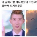 제주의 사색 이미지