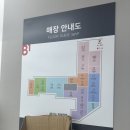 일원자동차 | 서울삼성병원 인근 다이소 / 다이소 일원역점 방문 후기👍