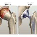 샤인동물메디컬센터 이미지
