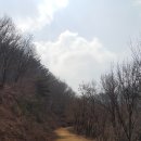 국립아세안자연휴양림 이미지