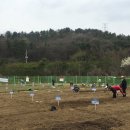 일대농장(2) 이미지