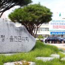 제야의 종 타종식 이미지