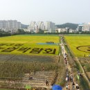 김경룡 카카오 검색결과