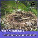작소 이미지