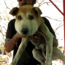 토실 토실 이미지