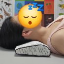 물방울세탁 | 잠자리연구소 물방울배게 사용 후기, 생각보다 만족스러웠던 경추배게 후기