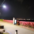 솔찬공원 이미지