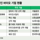 위더스바이오 이미지