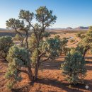 뇌와 몸을 깨우는 뇌체조(오전) | 마포 공덕에서 만난 뇌과학, 향기가 시냅스를 깨우는 순간