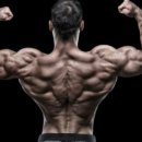 레드핏휘트니스 프리미엄 이미지