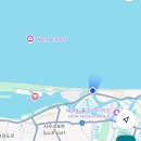 만사초등학교 | [7박 9일 호주 여행] in 시드니 out 브리즈번 8,9일차 - 잊지 못할 골드코스트 (혹등 고래 와칭 체험+@)