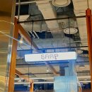 여의도 더현대서울에서 느끼는 찐 태국음식, 쌉(Saap) 후기