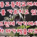 메기의 추억 Daum카페