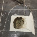 힐탑프라자 이미지