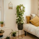 좋아하는 것을 목표로 만드는 방법 이미지