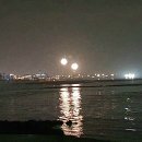협재 별채 이미지