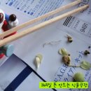 식탁위의텃밭 이미지