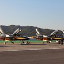 블랙이글 이미지