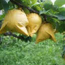 성환농업협동조합 이미지