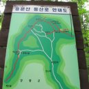 은행나무로 이미지