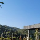 다불촌 독채민박 | 경주독채펜션 다불촌독채펜션, 조경이 아름다운 펜션!