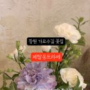 페탈옹트라쎄가로수길점