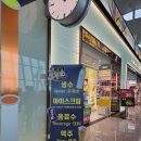 써니화장품 | 담배에 샴푸까지 공짜로 받았어요 | 경복궁면세점 써니쿠폰 활용 후기