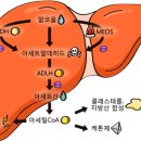 선진기전 이미지