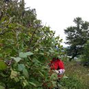 주천농장 이미지