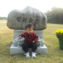호림정 이미지