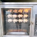 개나리농장 | 파주오토캠핑장 산머루농원캠핑장 산수유A 04 사이트 차박 솔캠 후기