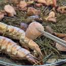 훈증힐링 이미지