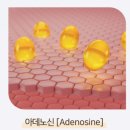 NP 컨디셔닝 네이버블로그