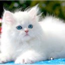 마타수학학원 이미지