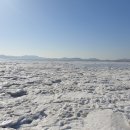 구이 찜 가자 이미지