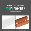 시니