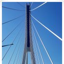 돌산초대신분교장 이미지