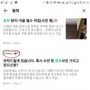 Y-007 이미지