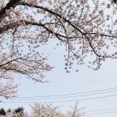 대흘보건진료소 이미지