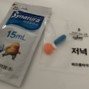 송인철이비인후과 | 코로나 확진 후 비대면 치료 후기(+닥터나우,똑닥,굿닥)