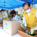 진주우리먹거리협동조합진주텃밭 이미지