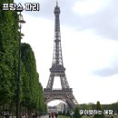 New 궁전 | 베르사유궁전 버스 투어 할까 말까? 직접해본 솔직 후기