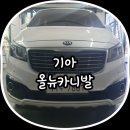 김프로카케어 이미지