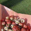 진주꽃집 예비장모님 생신에 아베이으의 꽃다발 드렸습니다