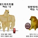 포리프 이미지