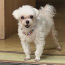 영동세탁소 이미지