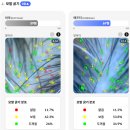 두스파 | 나주 헤드스파 "이것 때문에 두배 힐링" 시나움 헤드스파 90분 후기