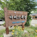 경남 아이와 가볼만한곳 의령 야베스팜 카페 목장