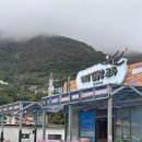 인생포차 | 욕지도 맛집 해녀김금단포차 인생고등어회 !