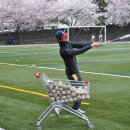 신광초교 이미지